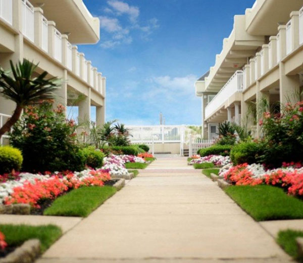 Ocean View Condominiums For Sale preview